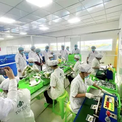 Japanese partner visits Tri Tin export grape seaweed factory