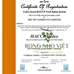 Tri Tin obtained the export certificate of seaweed and sea grapes