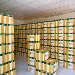 Rong Nho Tươi Trí Tín giá sỉ thùng 10kg