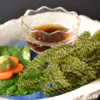 Rong Nho Khô Trí Tín 1kg ( 5 hộp 200gr )