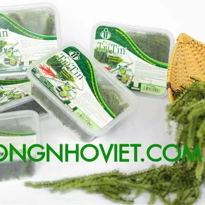 Rong Nho Tươi Trí Tín hộp 100 gr