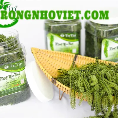 Rong Nho Tươi Trí Tín 500 gr