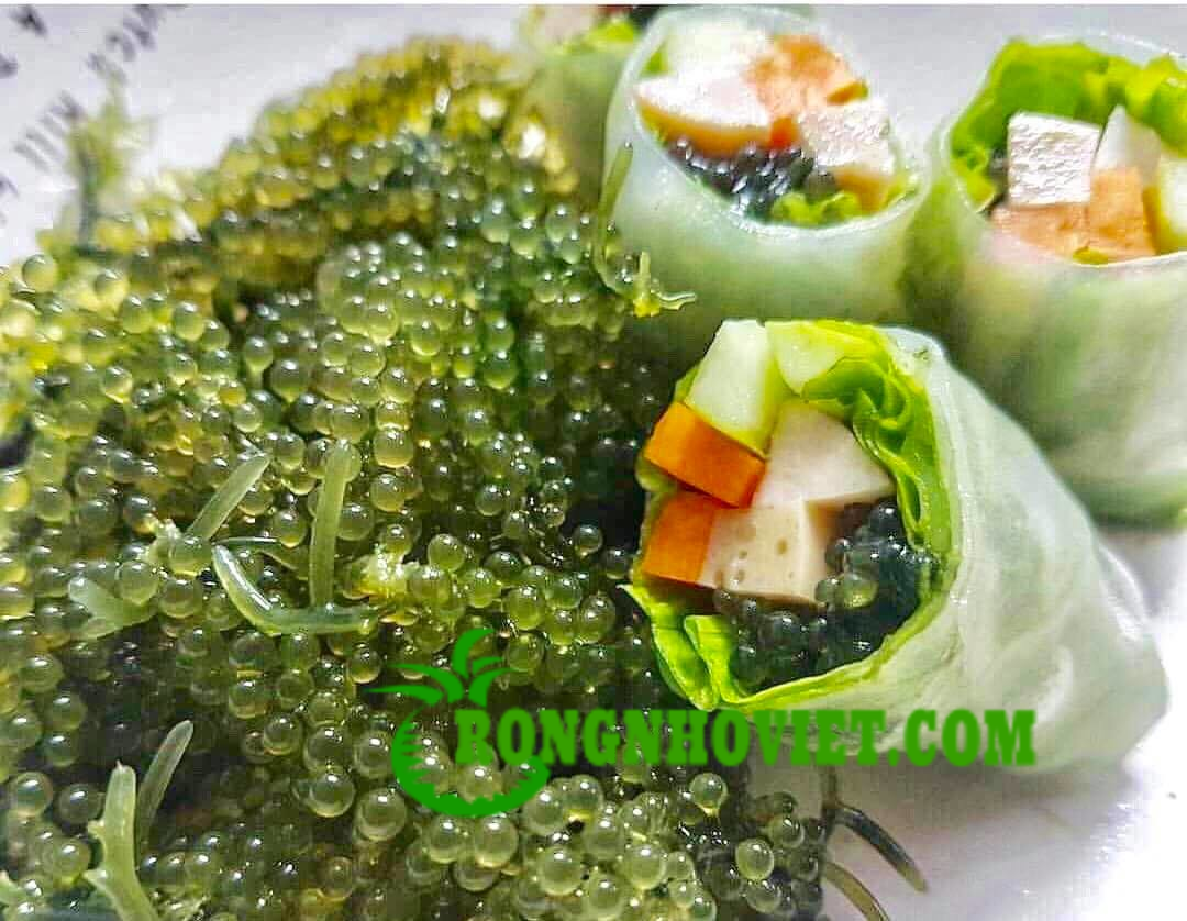 Where to buy sea grapes