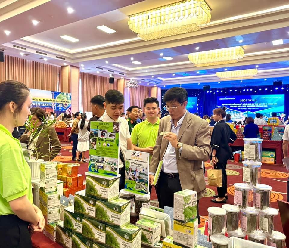 rong nho việt xuất khẩu rong nho việt xuất khẩu