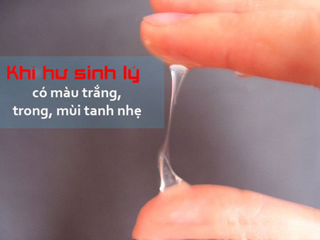 Thiếu hụt Estrogen| Nguyên nhân giảm tiết dịch âm đạo, nấm âm đạo