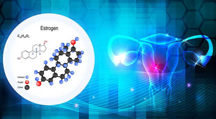 Thảo mộc và Phytoestrogen - Loại nào tốt, loại nào nên cẩn trọng