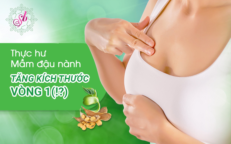Mầm đậu nành: "Thần dược" tăng vòng 1?