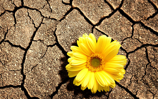 Nguyên nhân và cách khắc phục bị khô âm đạo ở phái đẹp