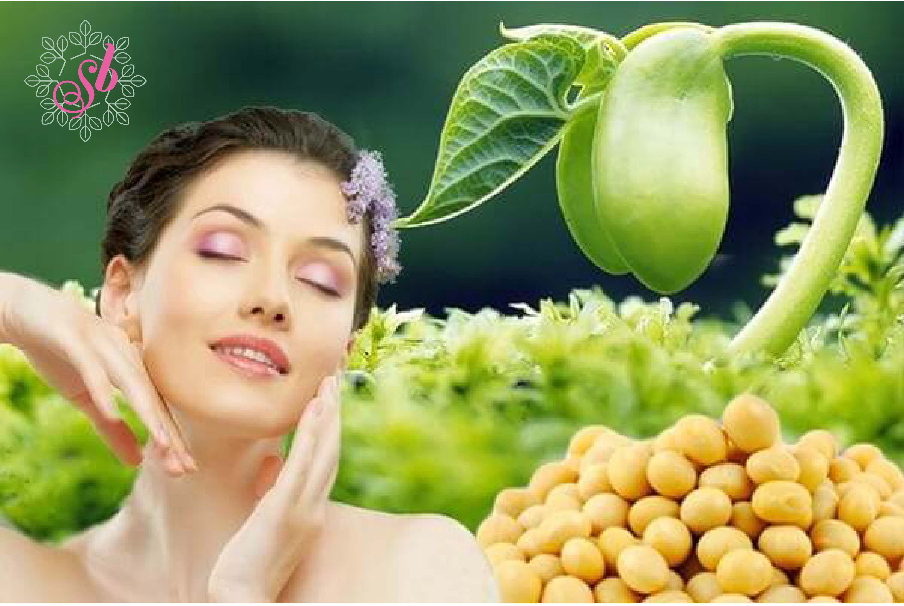 Bổ sung Estrogen từ thảo dược bằng phương pháp Phytoestrogen dạng Aglycone