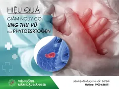 Thực hư hiệu quả giảm nguy cơ ung thư vú của Phytoestrogen