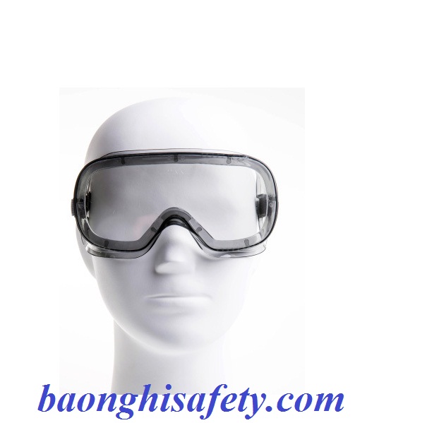 kính bảo hộ deltaplus muria