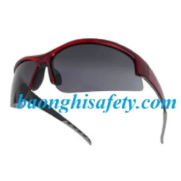 Kính bảo hộ GJL - S282