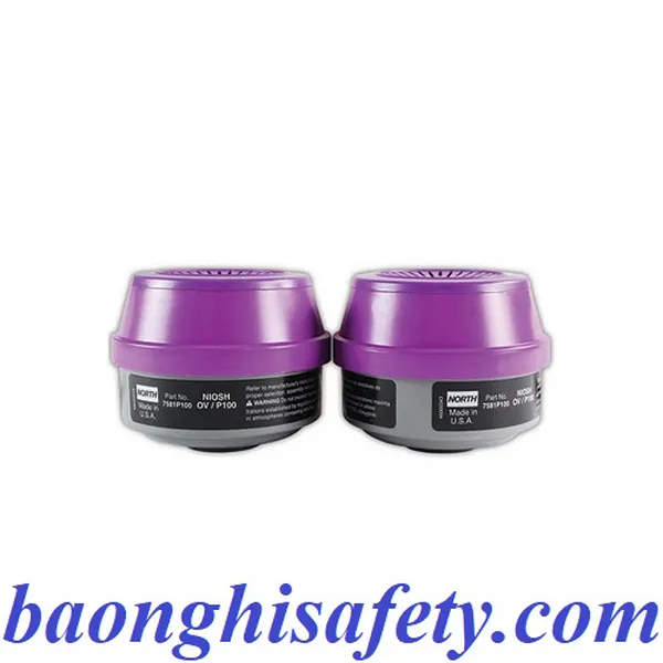 PHIN LỌC ĐỘC KHÍ OV VÀ BỤI HƠI DẦU 7581P100L