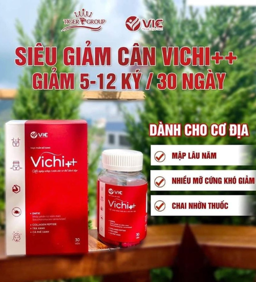 4. Những Đối Tượng Nào Nên Sử Dụng Giảm Cân Vichi?