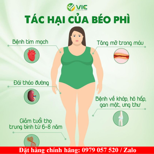 Tác hại của béo phì thừa cân Tác hại của béo phì thừa cân