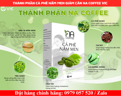 Thành phần cà phê nấm men giảm cân na coffee vic Thành phần cà phê nấm men giảm cân na coffee vic