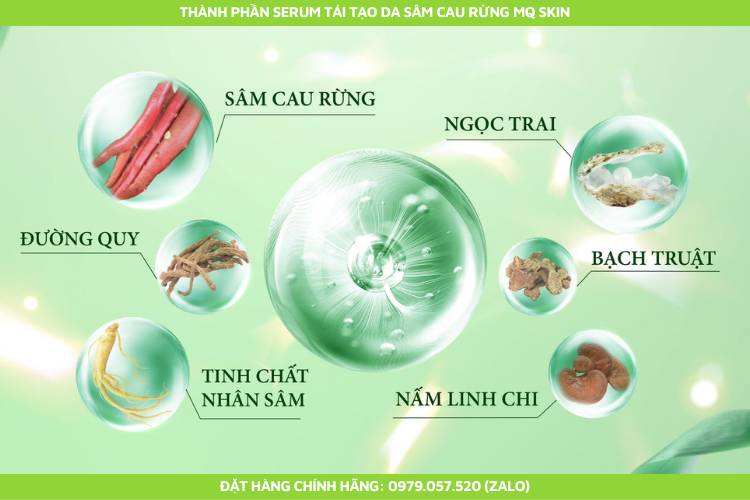 Thành phần serum tái tạo da sâm cau rừng mq skin Thành phần serum tái tạo da sâm cau rừng mq skin