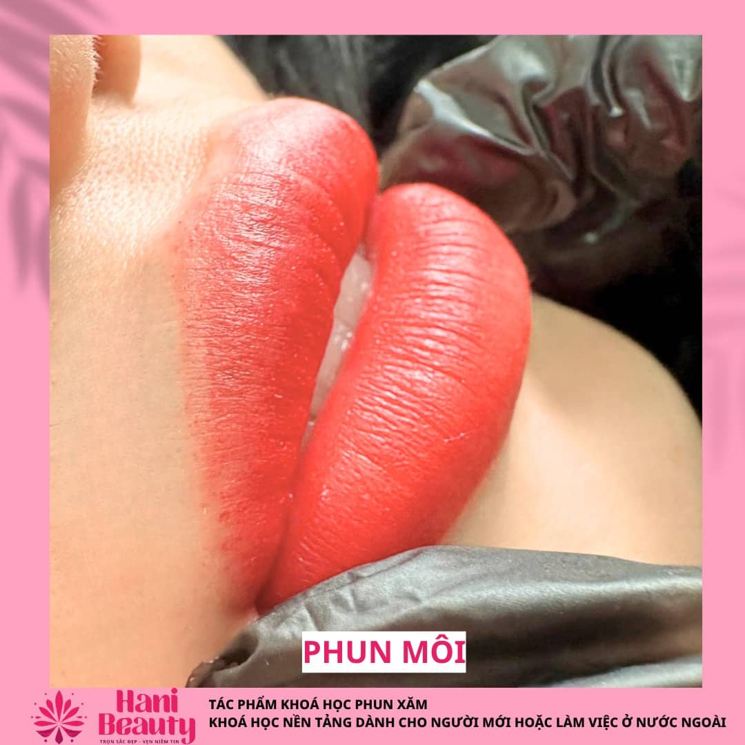 Lộ trình học phun xăm thẩm mỹ cho người mới tại Hani Beauty, từ lý thuyết cơ bản, thực hành trên da giả đến thực hành trên người thật dưới hướng dẫn giảng viên.