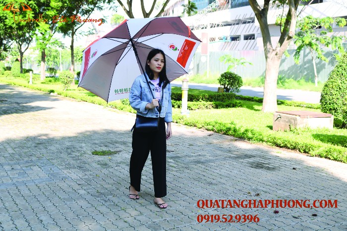 bán dù sự kiện bán dù sự kiện