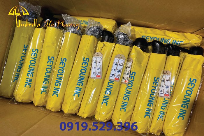 cửa hàng bán ô dù mini cửa hàng bán ô dù mini