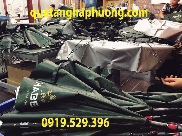 dù cầm tay sự kiện dù cầm tay sự kiện