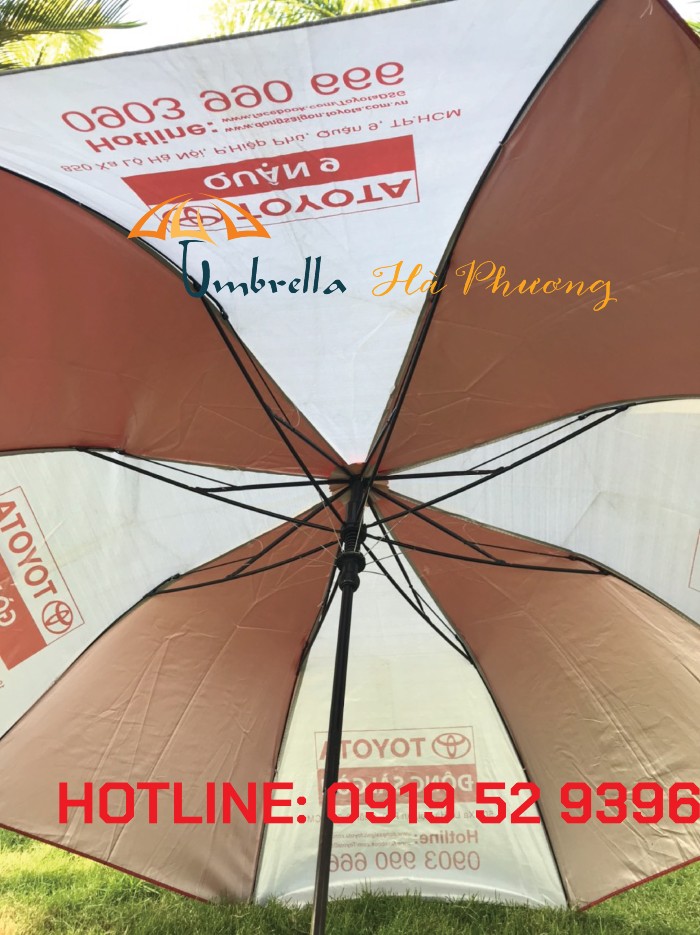 dù che sự kiên dù che sự kiên