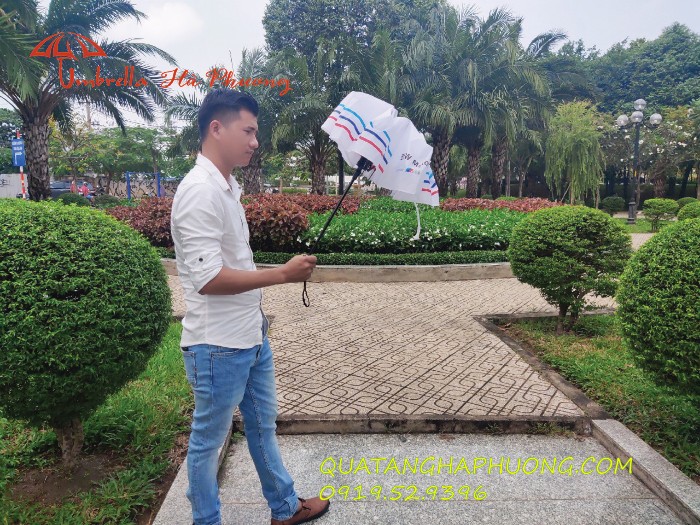 dù giá rẻ dù giá rẻ