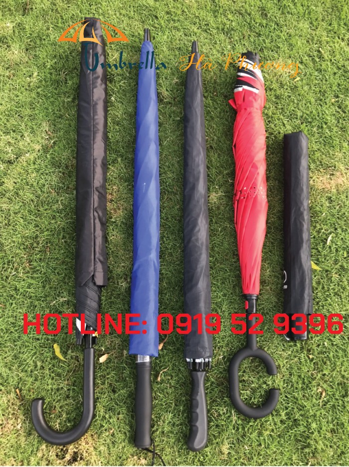 dù sự kiện giá rẻ dù sự kiện giá rẻ