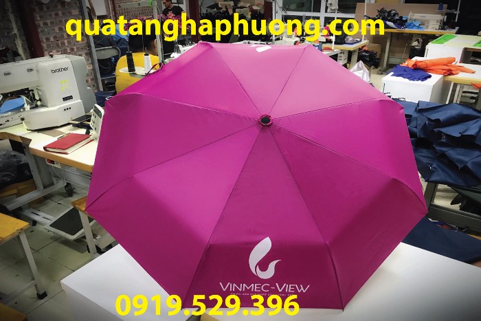 ô che mưa màu tím ô che mưa màu tím