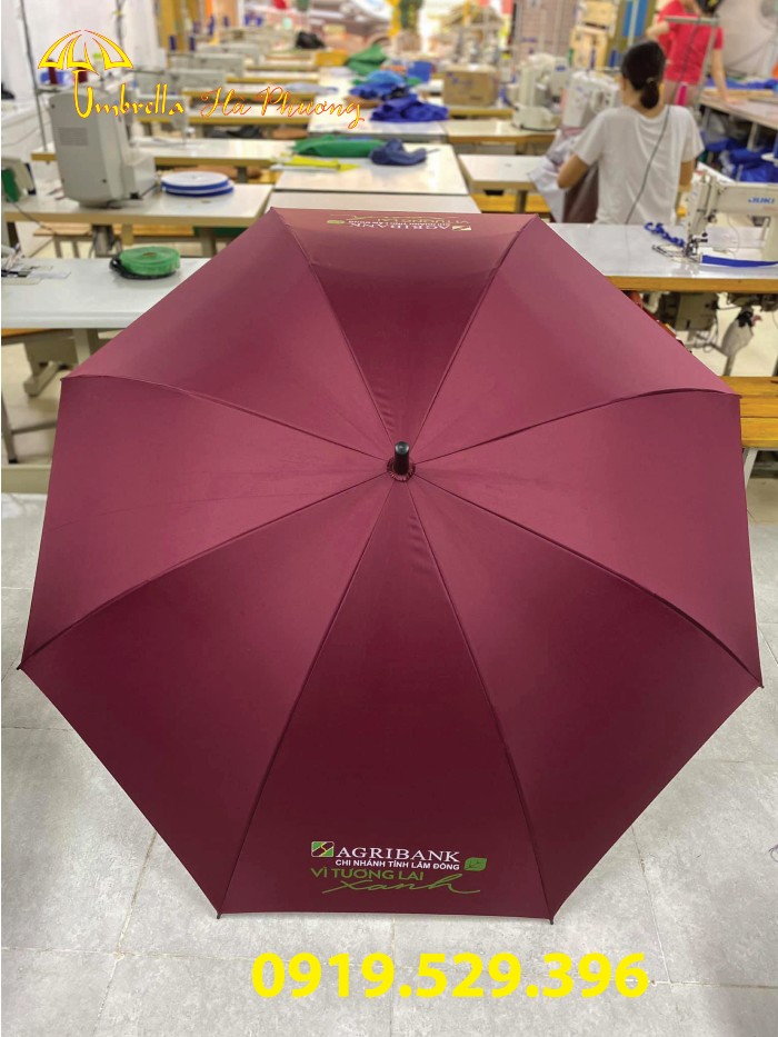 ở đâu bán dù che nắng ở đâu bán dù che nắng