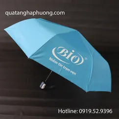 Dù gấp 3 1 chiều