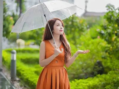 Dù quà tặng đà nẵng