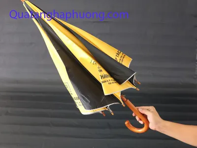 Ô DÙ MINI CAO CÂP