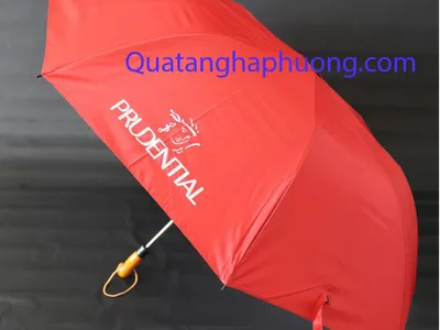 In dù quảng cáo