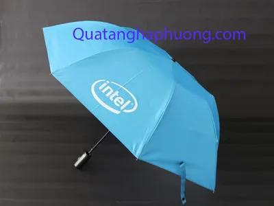 In ô dù