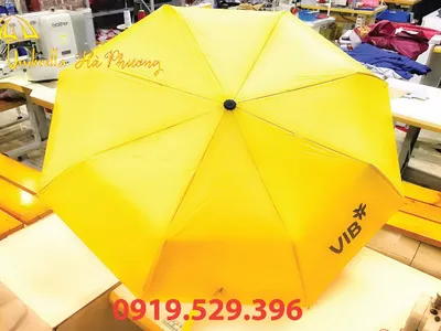 Các loại dù che nắng mưa