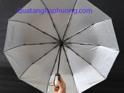 Danh sách công ty sản xuất ô dù
