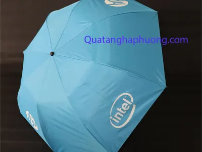 In logo lên dù