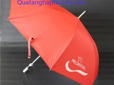In ô dù Bình Dương