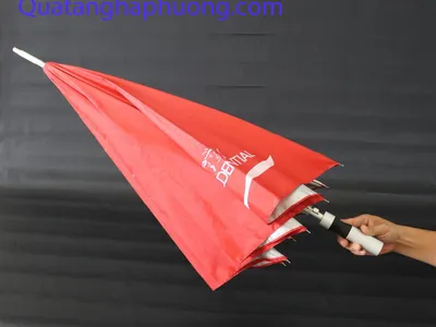 In ô dù đà nẵng