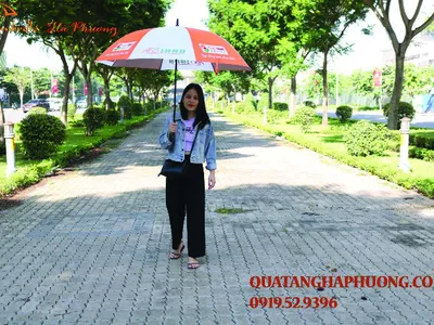 In ô dù đồng nai