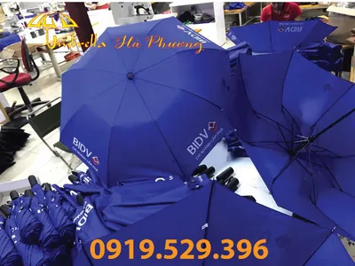 Mua dù che nắng