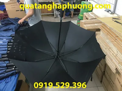 Ô che mưa cầm tay