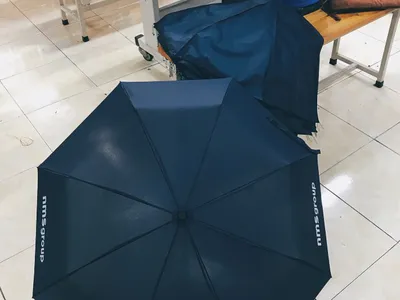 Ô che mưa cute