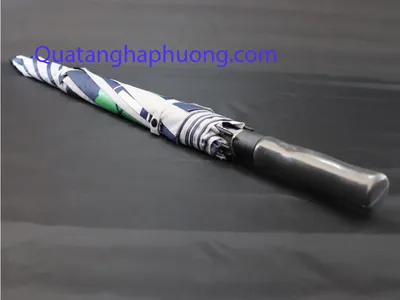 Ô dù cầm tay Bình Dương