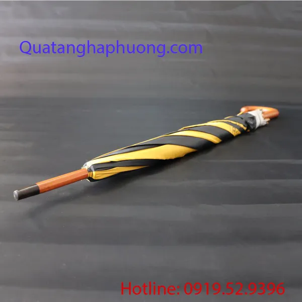 DÙ THẲNG CÁN CONG