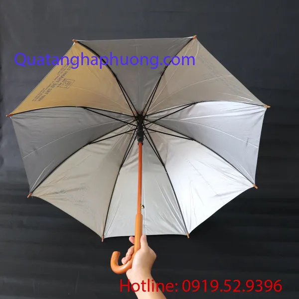 DÙ THẲNG CÁN CONG