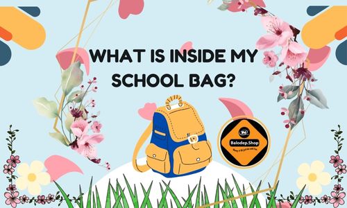 cái cặp tiếng Anh là gì