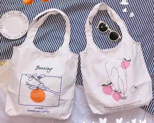 Túi đeo nữ vải. Balodep.shop|CHUYÊN BALO-TÚI XÁCH–VALI ĐẸP Túi đeo nữ vải. Balodep.shop|CHUYÊN BALO-TÚI XÁCH–VALI ĐẸP