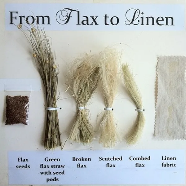Tại sao vải linen mềm hơn những loại vải khác?